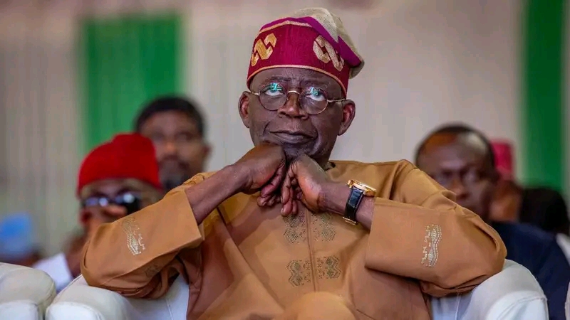 Minimum Wage: Be Patient With Tinubu, Presidency Pleads with Nigerians