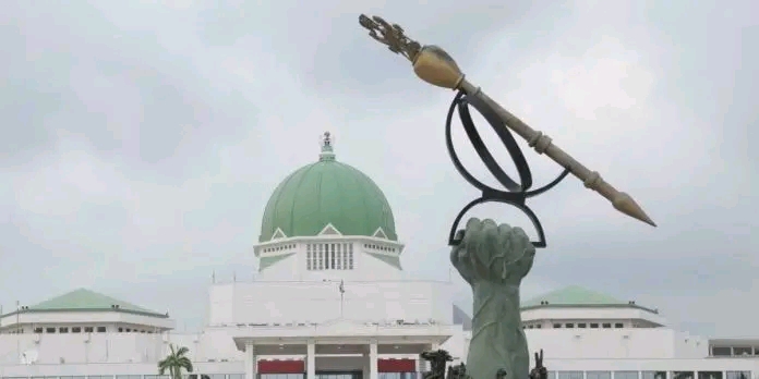 Tragic Demise of Senior Customs Officer During National Assembly Interrogation.