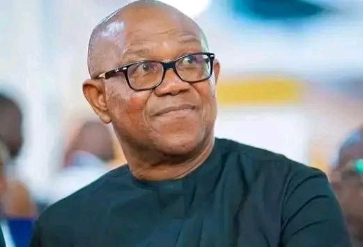 Peter Obi calls for Nnamdi Kanu’s release