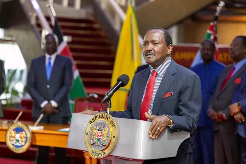 Kalonzo Rejects Government of National Unity, Vows to Remain in Opposition