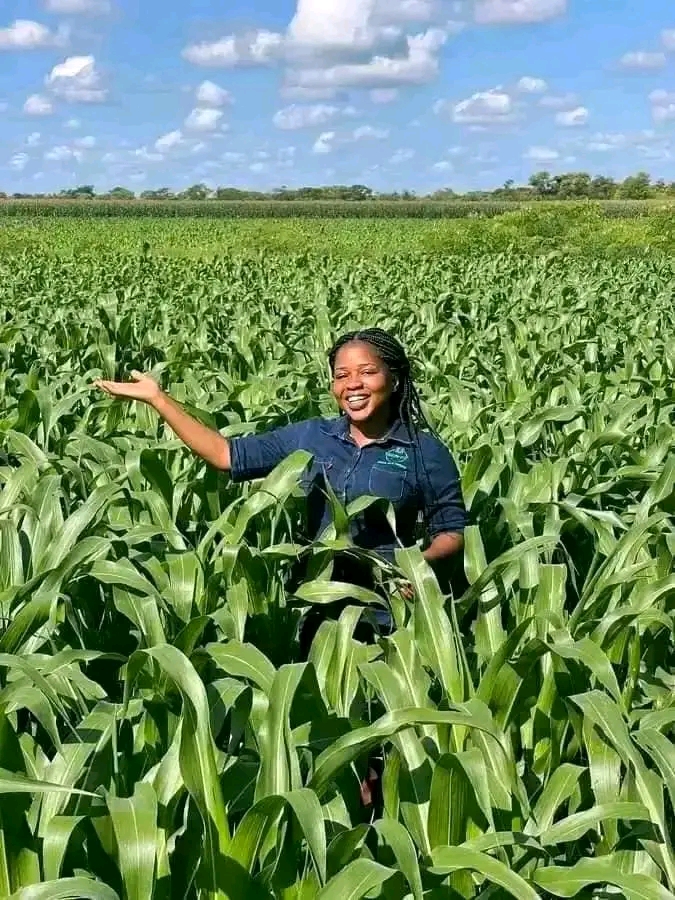 La différence entre Agronome, Agriculteur , Paysan et Cultivateur