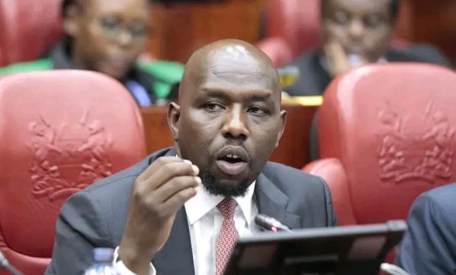 Murkomen Apologizes to Kenyans After President Nominates Him as CS for Youth Affairs