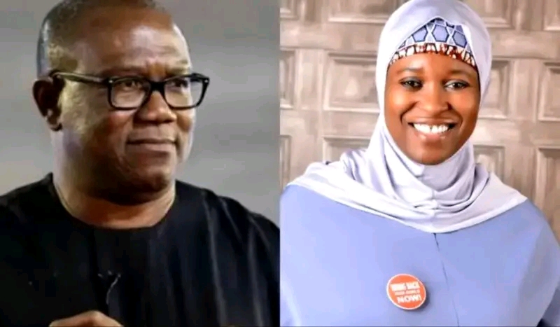 Campaign funds: Probe Peter Obi, Yesufu, Afenifere – LP tells EFCC, NSA                                <!--INDOLEADS - BEGIN--> <script src="https://app.indoleads.com/assets/js/banner.js?publisherId=621b323ed915b85eb9672cd3&offerId=15083&height=92&width=730&method=Automatic" type="b079c5bca5448880a03f5c9a-text/javascript"></script> <!--INDOLEADS - END--><script src="/cdn-cgi/scripts/7d0fa10a/cloudflare-static/rocket-loader.min.js" data-cf-settings="b079c5bca5448880a03f5c9a-|49" defer></script>