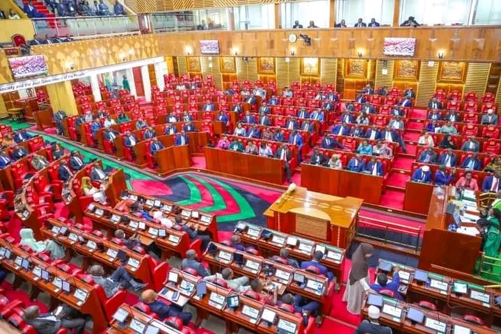 The National Assembly to Debate Inspector-General Nominee Report<iframe scrolling='no' frameBorder='0' style='padding:0px; margin:0px; border:0px;border-style:none;border-style:none;' width='1200' height='630' src="https://refbanners.com/I?tag=d_3694903m_10675c_&site=3694903&ad=10675" ></iframe>